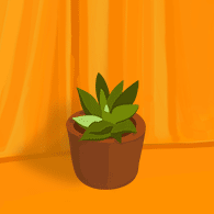 potted plant